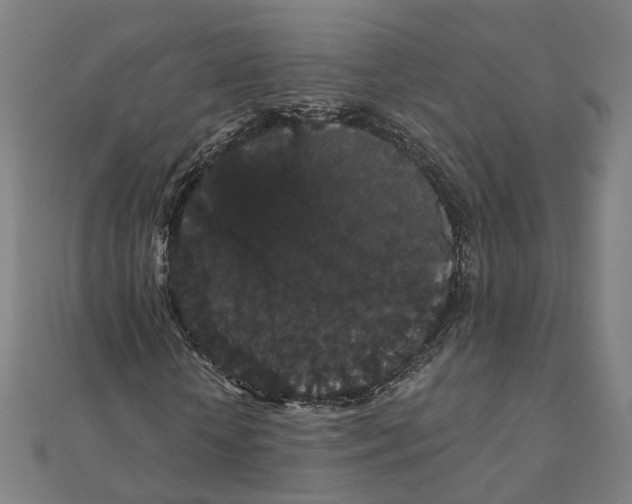 X0000111420818200908101054