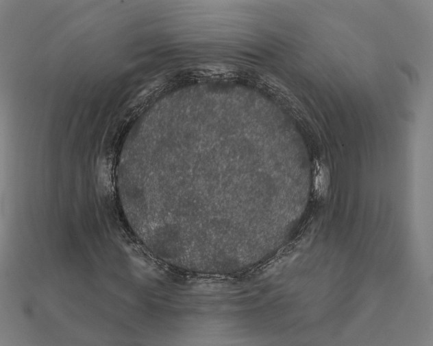 X0000111420819200908101054