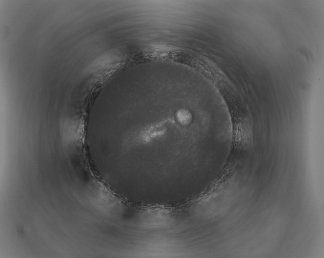 X0000111420820200908101054