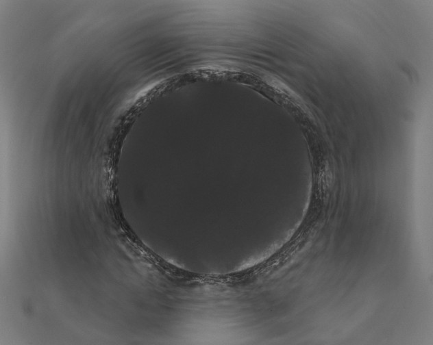 X0000111420822200908101054