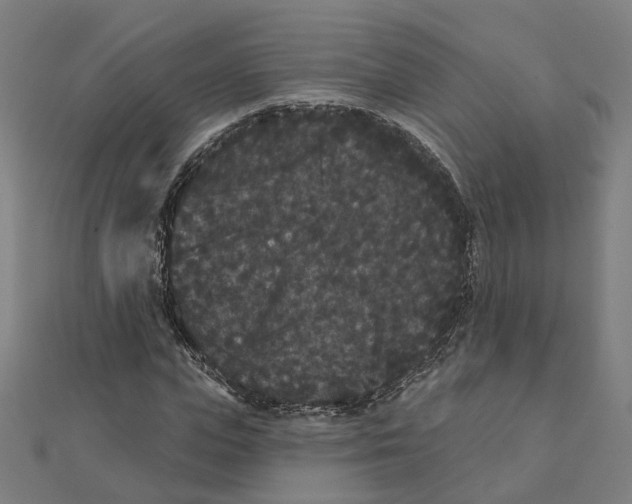 X0000111420823200908101054