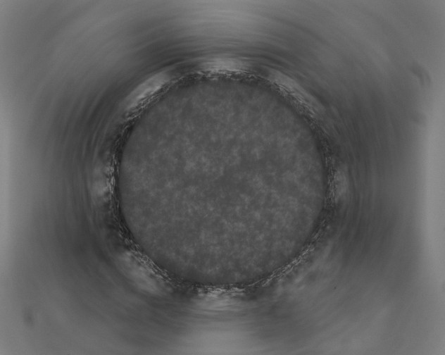 X0000111420824200908101054