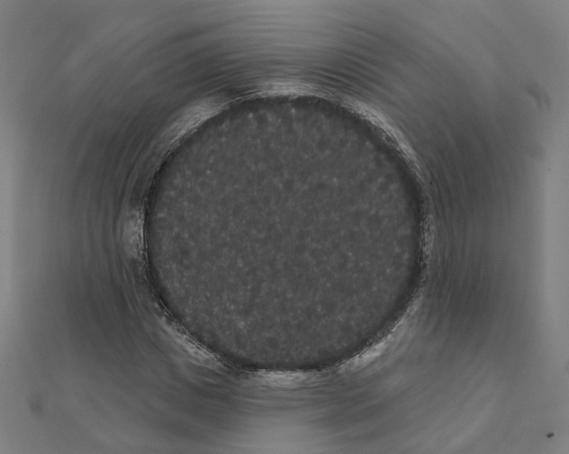 X0000111420825200908101054