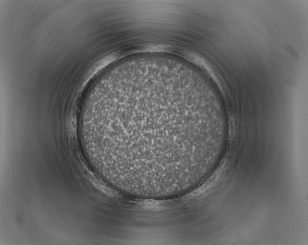 X0000111420827200908101054
