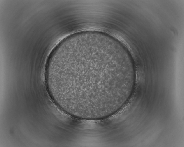 X0000111420828200908101054
