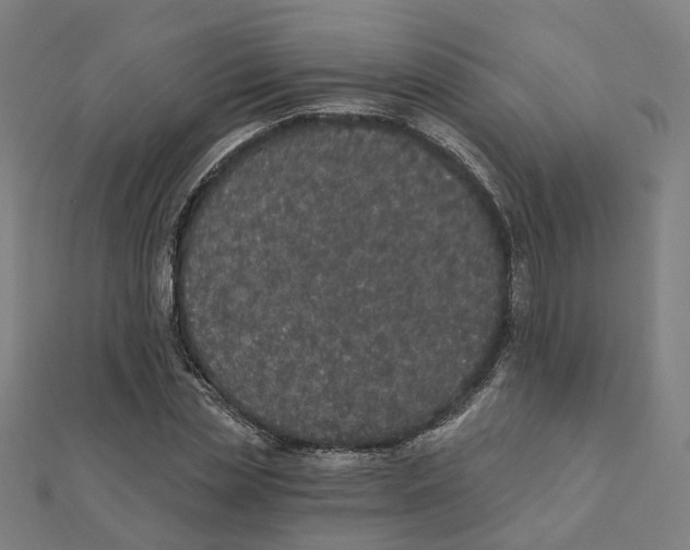 X0000111420829200908101054