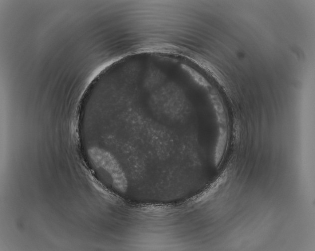 X0000111420830200908101054