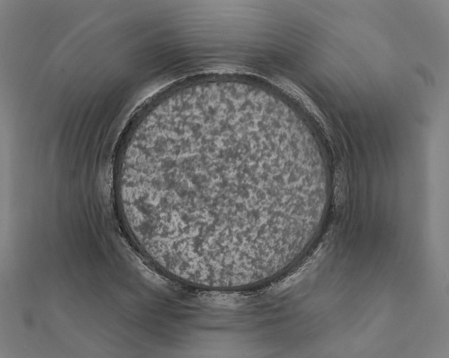 X0000111420831200908101054