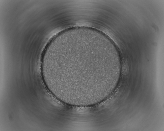 X0000111420832200908101054