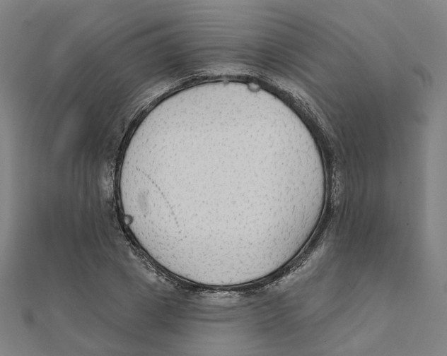 X0000111420833200908101054