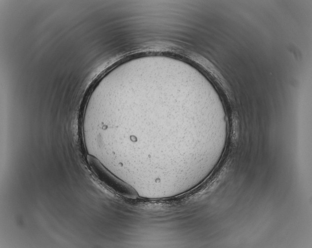 X0000111420834200908101054