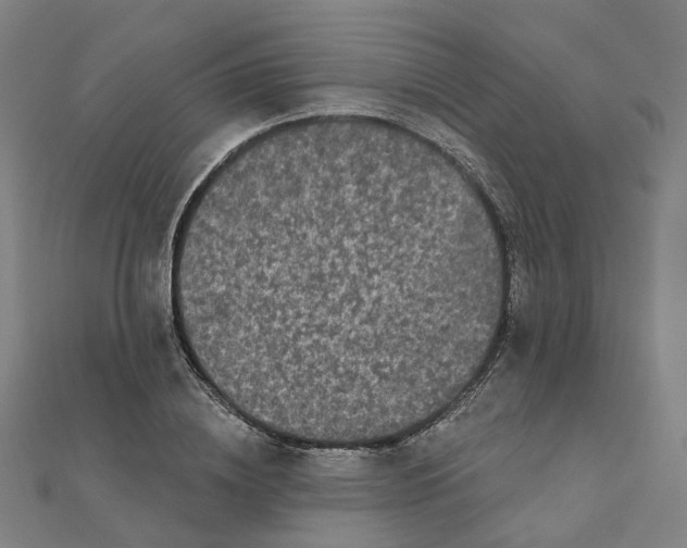 X0000111420836200908101054