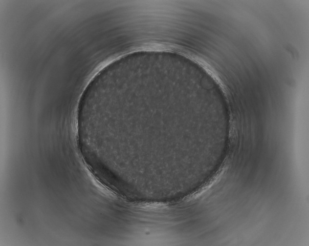 X0000111420837200908101054