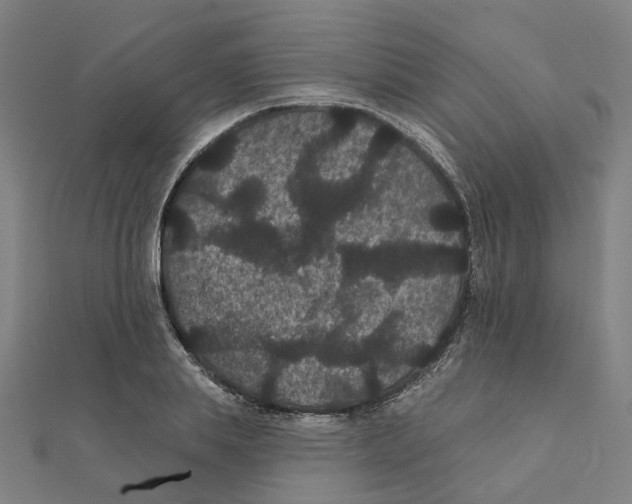 X0000111420839200908101054