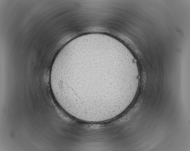 X0000111420841200908101054