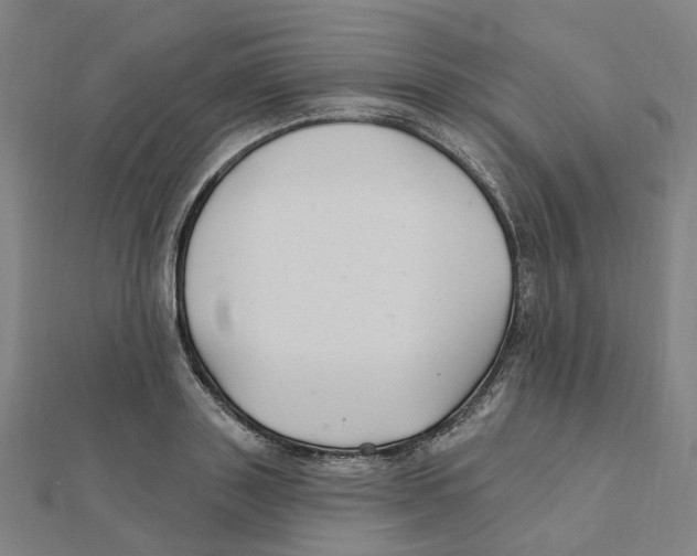 X0000111420843200908101054