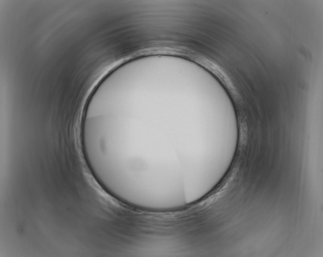 X0000111420844200908101054