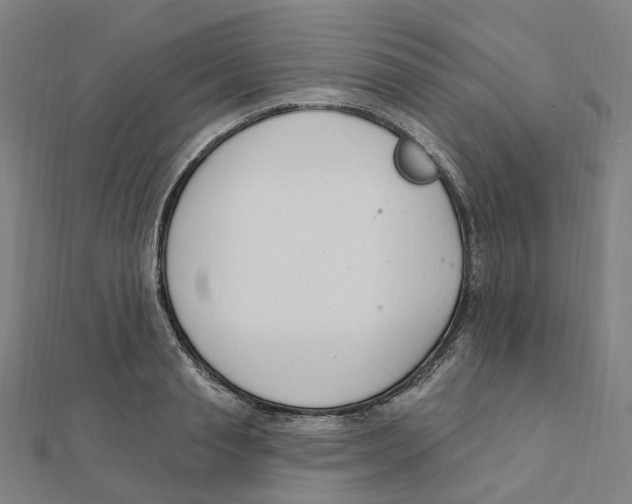 X0000111420845200908101054