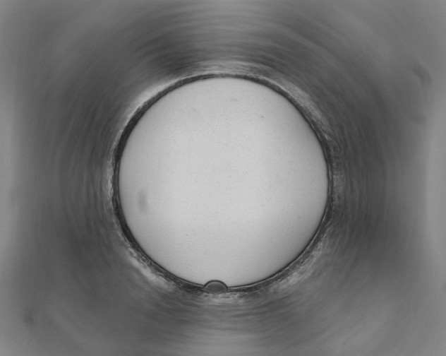 X0000111420846200908101054