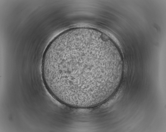 X0000111420847200908101054