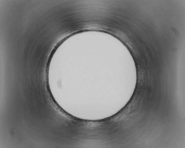 X0000111420848200908101054