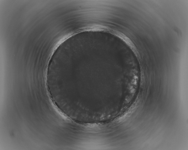 X0000111420850200908101054