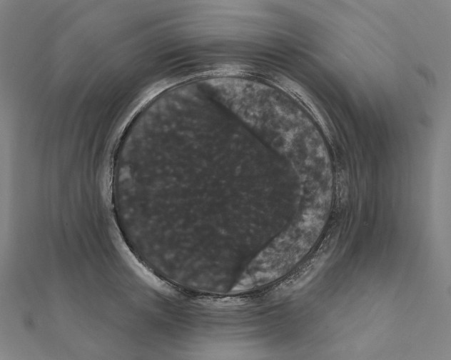 X0000111420851200908101054