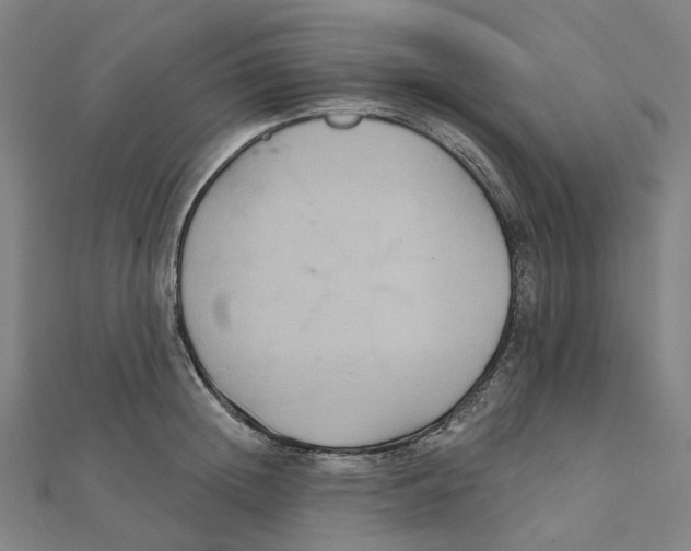 X0000111420852200908101054