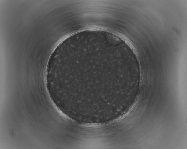 X0000111420853200908101054