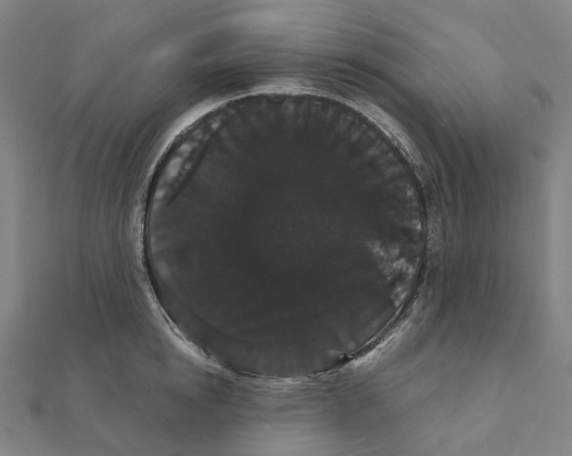 X0000111420854200908101054