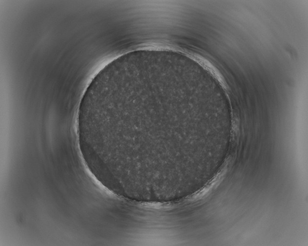 X0000111420855200908101054