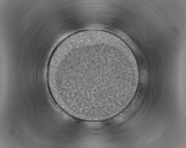 X0000111420856200908101054