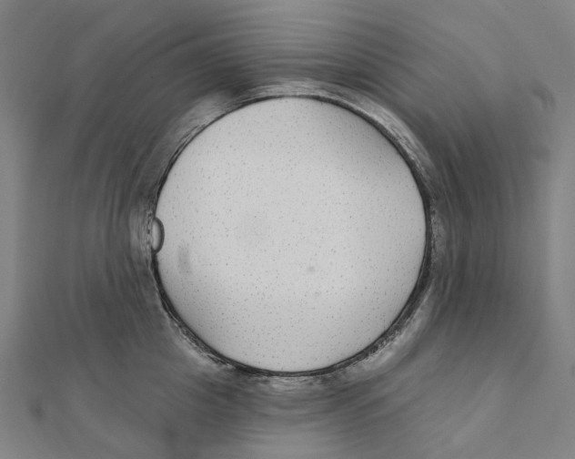 X0000111420857200908101054
