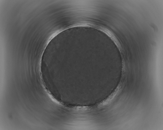 X0000111420858200908101054