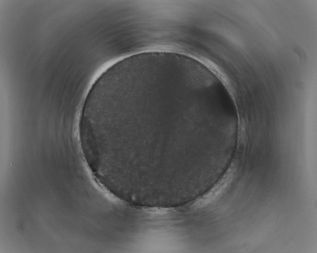 X0000111420862200908101054
