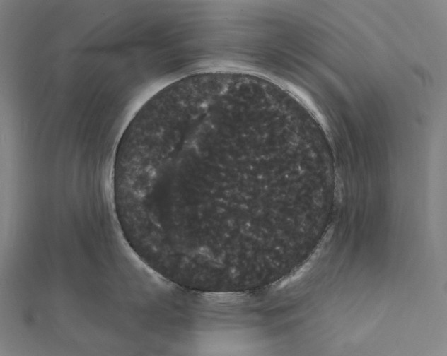 X0000111420863200908101054