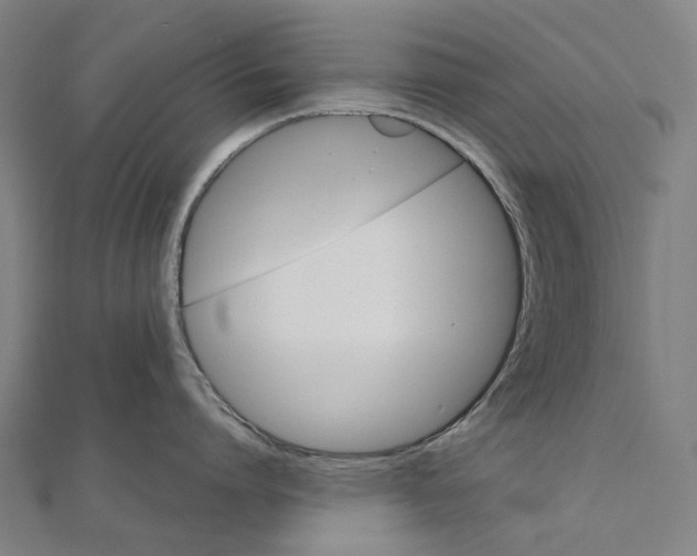 X0000111420864200908101054