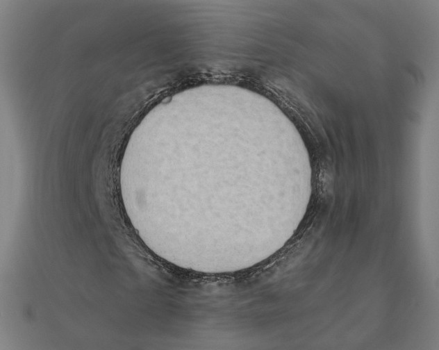 X0000111420865200908101054