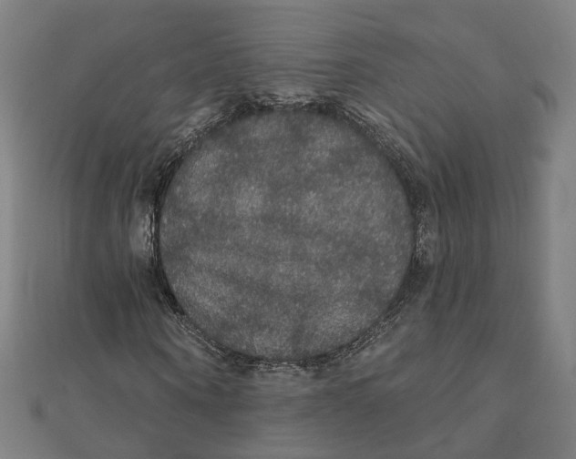 X0000111420866200908101054