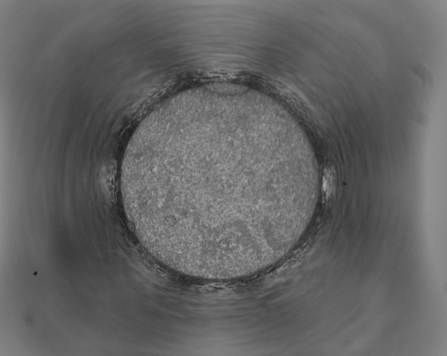 X0000111420867200908101054