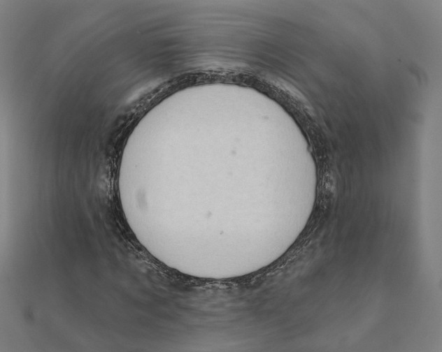 X0000111420869200908101054