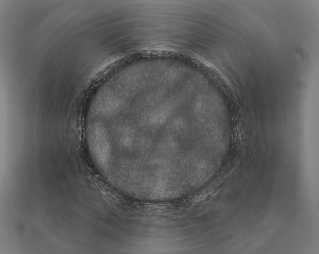 X0000111420870200908101054