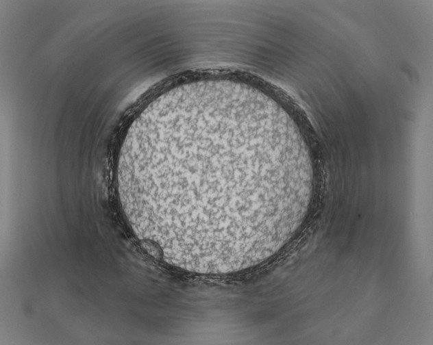 X0000111420871200908101054