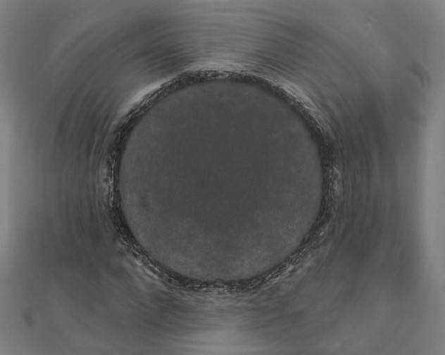 X0000111420872200908101054
