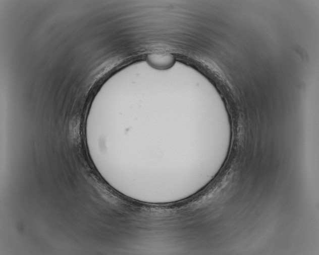 X0000111420873200908101054