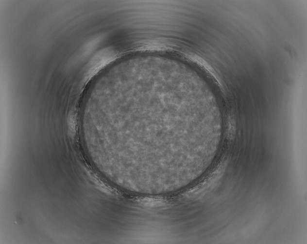X0000111420874200908101054