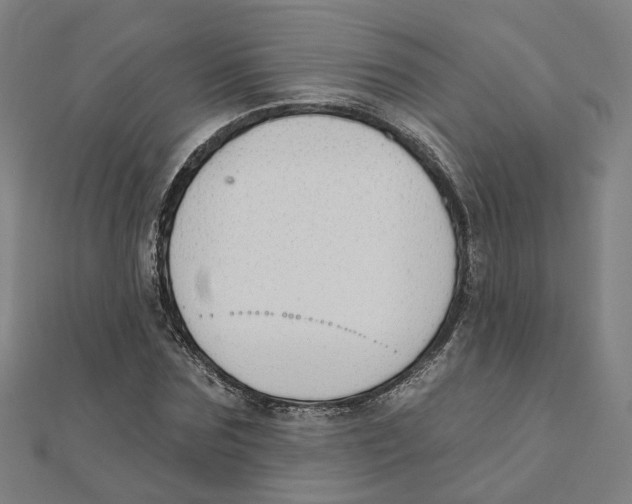 X0000111420875200908101054