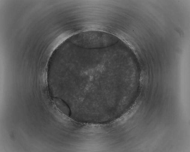 X0000111420877200908101054