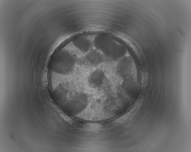 X0000111420878200908101054
