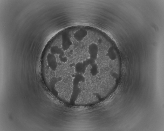 X0000111420879200908101054